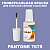PANTONE 7675 C КРАСКА ДЛЯ СКОЛОВ, матовая, флакон 20мл с кисточкой