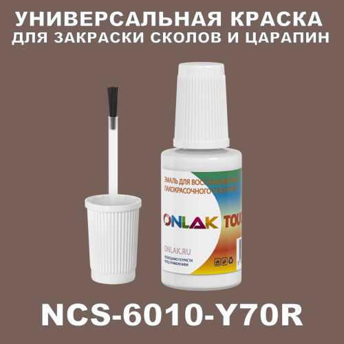 NCS 6010-Y70R   ,   