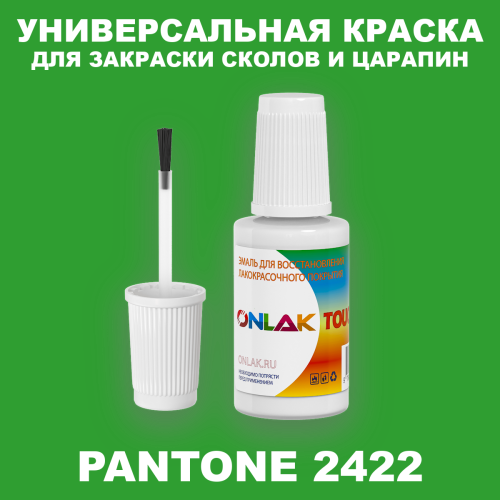 PANTONE 2422 C КРАСКА ДЛЯ СКОЛОВ, флакон с кисточкой