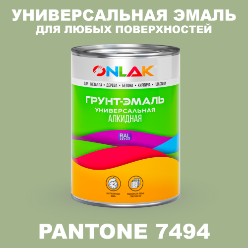Краска цвет PANTONE 7494 C