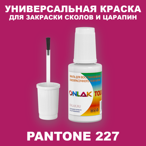 PANTONE 227 C КРАСКА ДЛЯ СКОЛОВ, флакон с кисточкой
