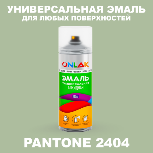 Аэрозольная краска ONLAK, цвет PANTONE 2404 C, спрей 520мл
