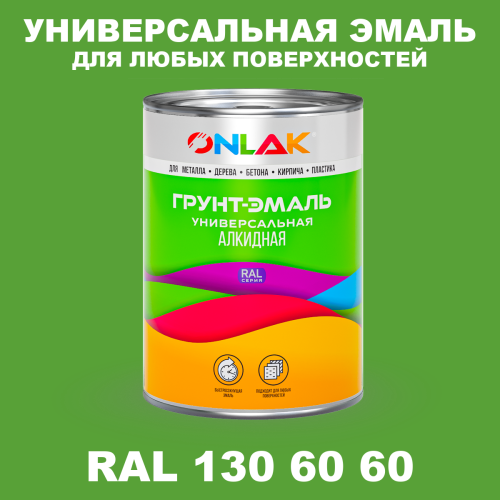 Краска цвет RAL DESIGN 1306060