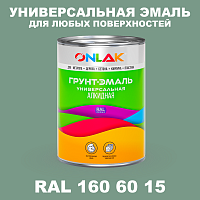 Краска цвет RAL DESIGN 1606015