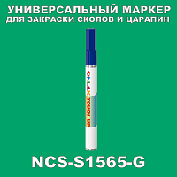 NCS S1565-G   