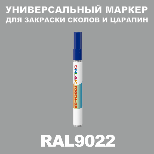 RAL 9022   