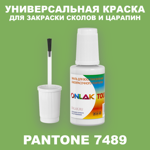 PANTONE 7489 C КРАСКА ДЛЯ СКОЛОВ, флакон с кисточкой