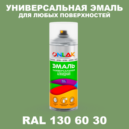 Аэрозольная краска, цвет RAL Design 1306030, спрей 520мл