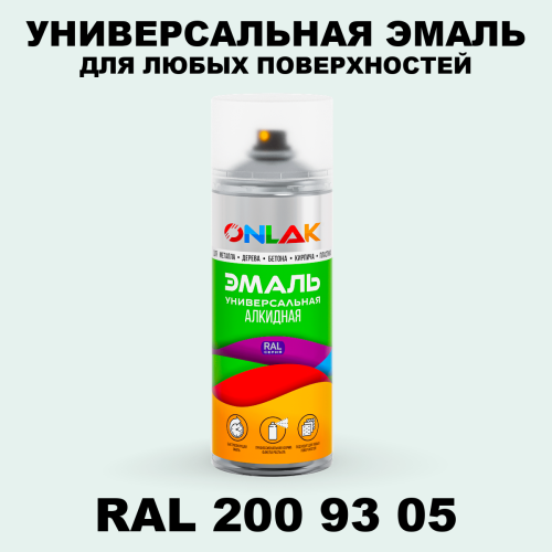 Аэрозольная краска, цвет RAL Design 2009305, спрей 520мл