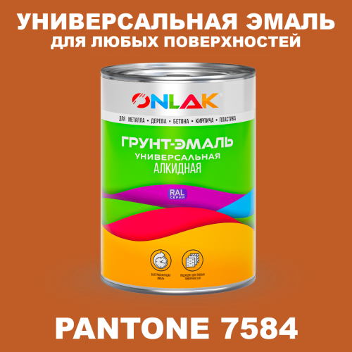 Краска цвет PANTONE 7584 C