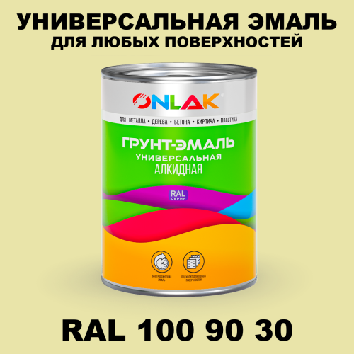 Краска цвет RAL DESIGN 1009030