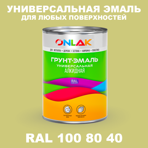 Краска цвет RAL DESIGN 1008040