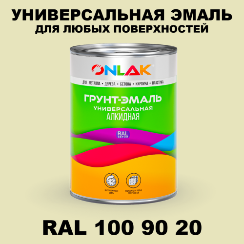 Краска цвет RAL DESIGN 1009020