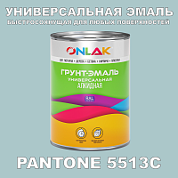 Краска цвет PANTONE 5513C
