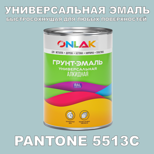 Краска цвет PANTONE 5513C
