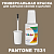 PANTONE 7531 C КРАСКА ДЛЯ СКОЛОВ, полуматовая, флакон 20мл с кисточкой
