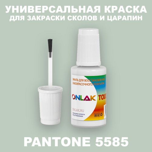 PANTONE 5585 C КРАСКА ДЛЯ СКОЛОВ, флакон с кисточкой