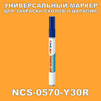 NCS 0570-Y30R МАРКЕР С КРАСКОЙ