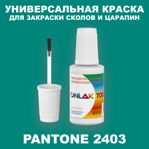 PANTONE 2403 C КРАСКА ДЛЯ СКОЛОВ, флакон с кисточкой