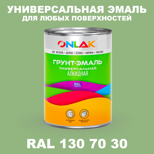 Краска цвет RAL DESIGN 1307030