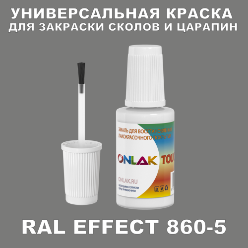 RAL EFFECT 860-5   ,   
