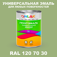 Краска цвет RAL DESIGN 1207030