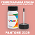 PANTONE 2339 C КРАСКА ДЛЯ СКОЛОВ, матовая, флакон 50мл с кисточкой