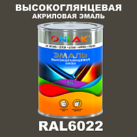 Высокоглянцевая акриловая 2К эмаль ONLAK, цвет RAL6022, в комплекте с отвердителем