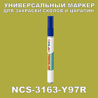 NCS 3163-Y97R   