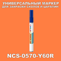NCS 0570-Y60R   