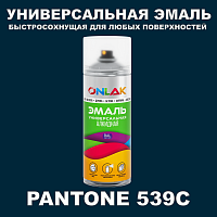 Аэрозольная краска ONLAK, цвет PANTONE 539C, спрей 400мл