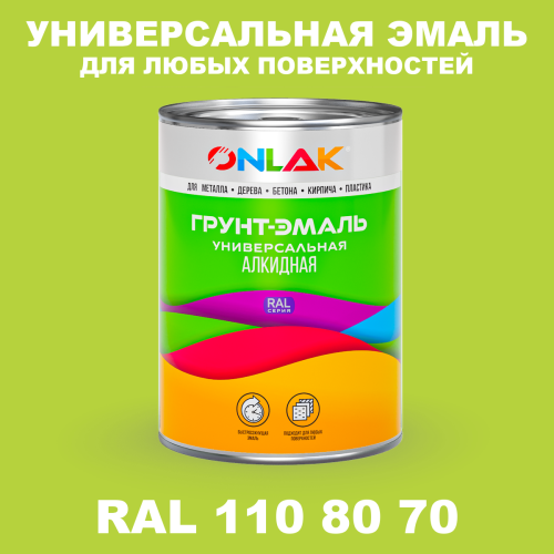 Краска цвет RAL DESIGN 1108070