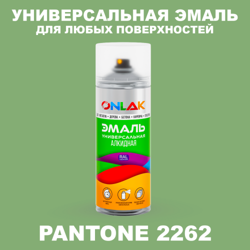 Аэрозольная краска ONLAK, цвет PANTONE 2262 C, спрей 520мл