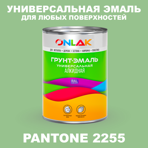 Краска цвет PANTONE 2255 C