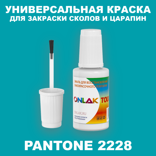 PANTONE 2228 C КРАСКА ДЛЯ СКОЛОВ, флакон с кисточкой