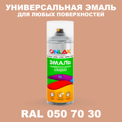 Аэрозольная краска, цвет RAL Design 507030, спрей 520мл