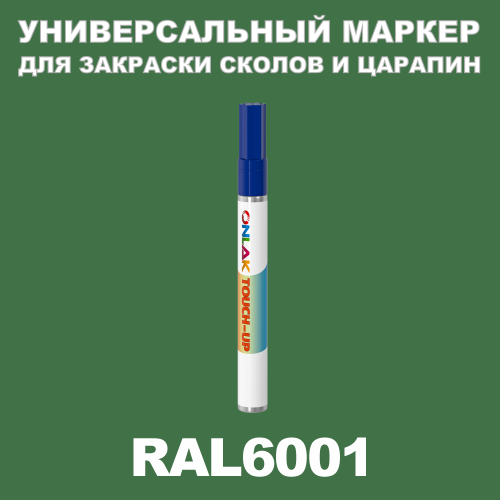 RAL 6001   