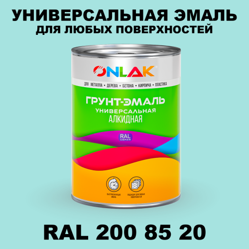 Краска цвет RAL DESIGN 2008520