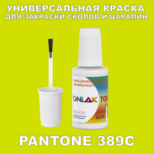 PANTONE 389C   ,   