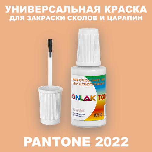 PANTONE 2022 C КРАСКА ДЛЯ СКОЛОВ, флакон с кисточкой