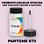 PANTONE 670 C КРАСКА ДЛЯ СКОЛОВ, матовая, флакон 50мл с кисточкой
