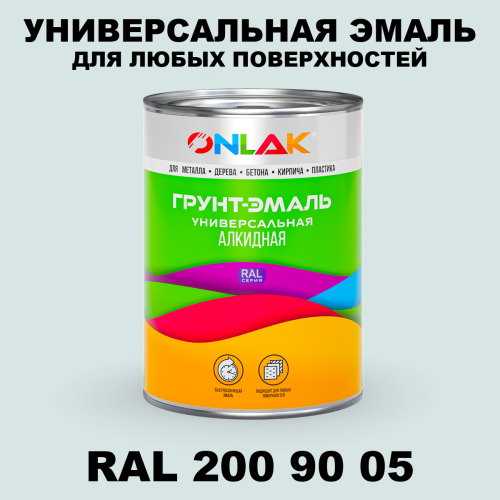 Краска цвет RAL DESIGN 2009005