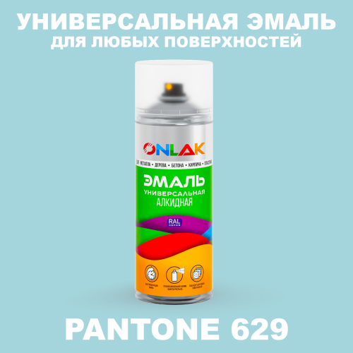 Аэрозольная краска ONLAK, цвет PANTONE 629 C, спрей 520мл