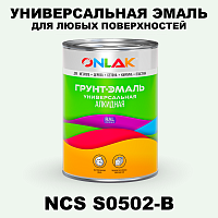 Краска цвет NCS S0502-B