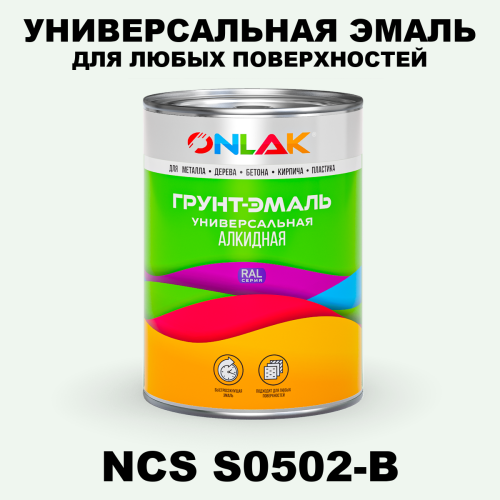 Краска цвет NCS S0502-B