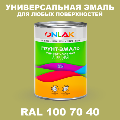 Краска цвет RAL DESIGN 1007040