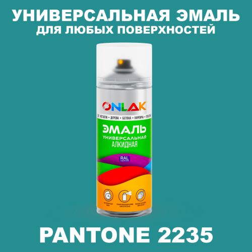 Аэрозольная краска ONLAK, цвет PANTONE 2235 C, спрей 520мл