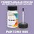 PANTONE 666 C КРАСКА ДЛЯ СКОЛОВ, флакон 50мл с кисточкой