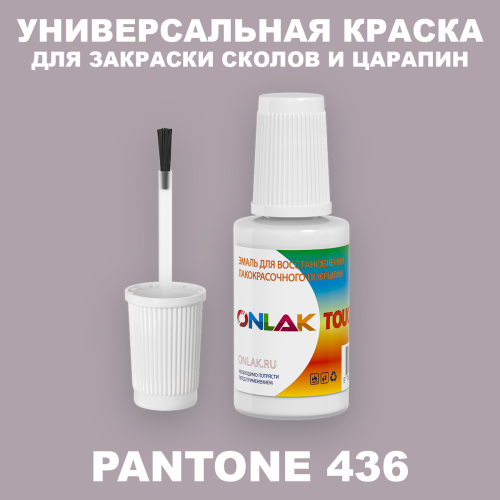 PANTONE 436 C КРАСКА ДЛЯ СКОЛОВ, флакон с кисточкой