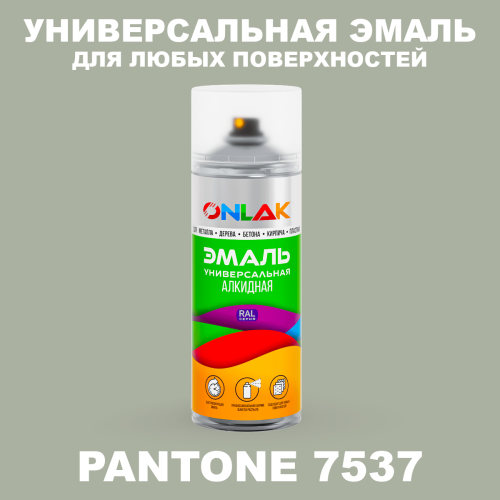 Аэрозольная краска ONLAK, цвет PANTONE 7537 C, спрей 520мл